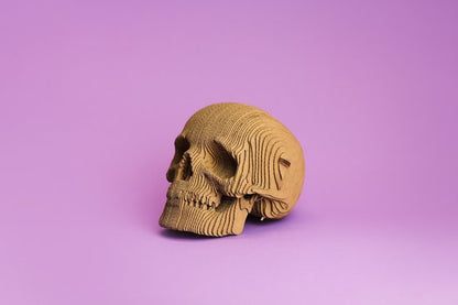 CARTONIC® – Modèle Skull