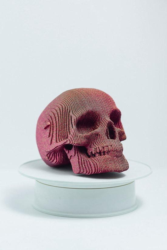 CARTONIC® – Modèle Skull