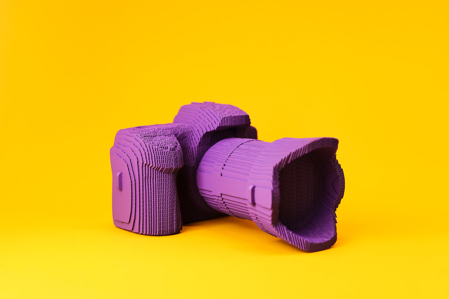 CARTONIC® – Camera - Modèle 3D en carton